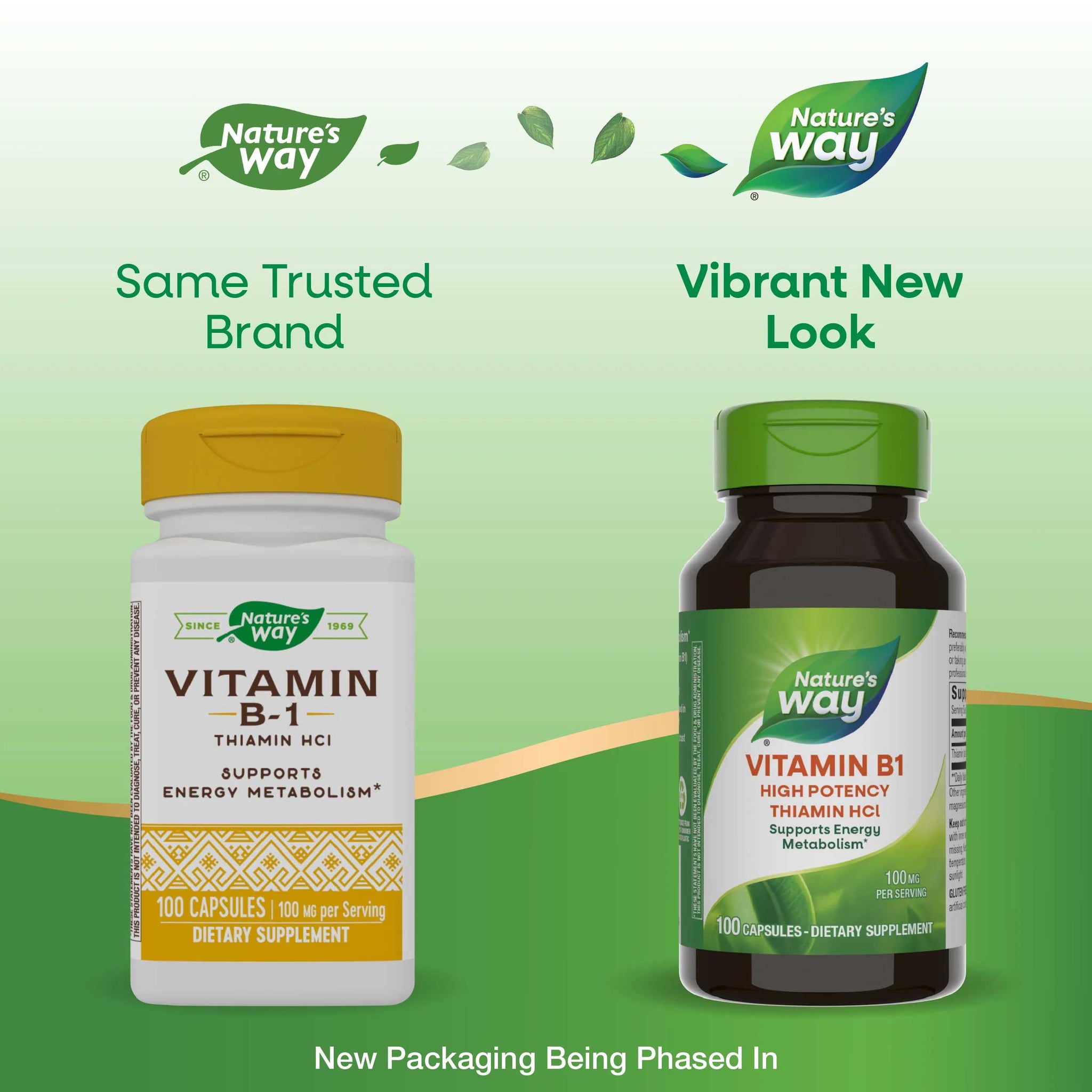 Nature's Way Vitamin B1 High Potency Thiamin HCl