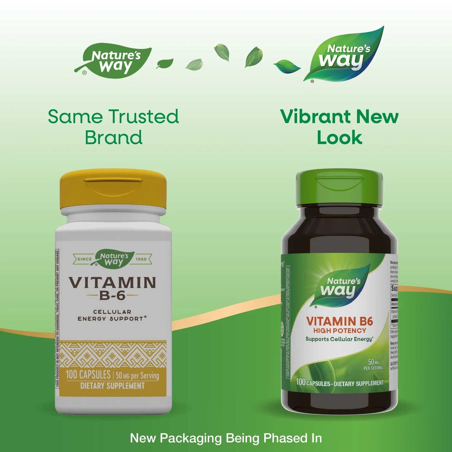 Nature's Way Vitamin B6 50 mg