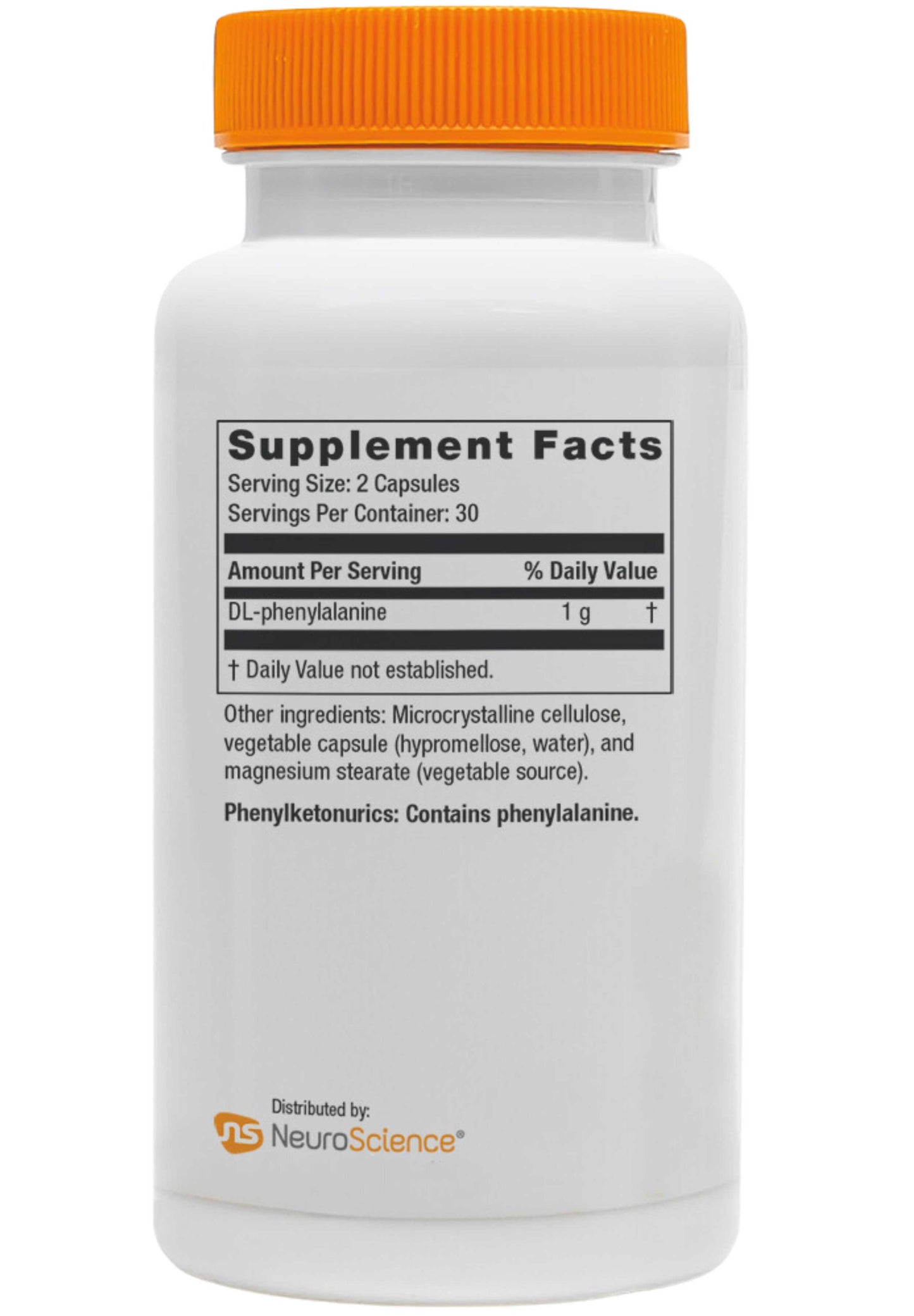 NeuroScience Focus DL