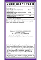 New Chapter Ginger Force