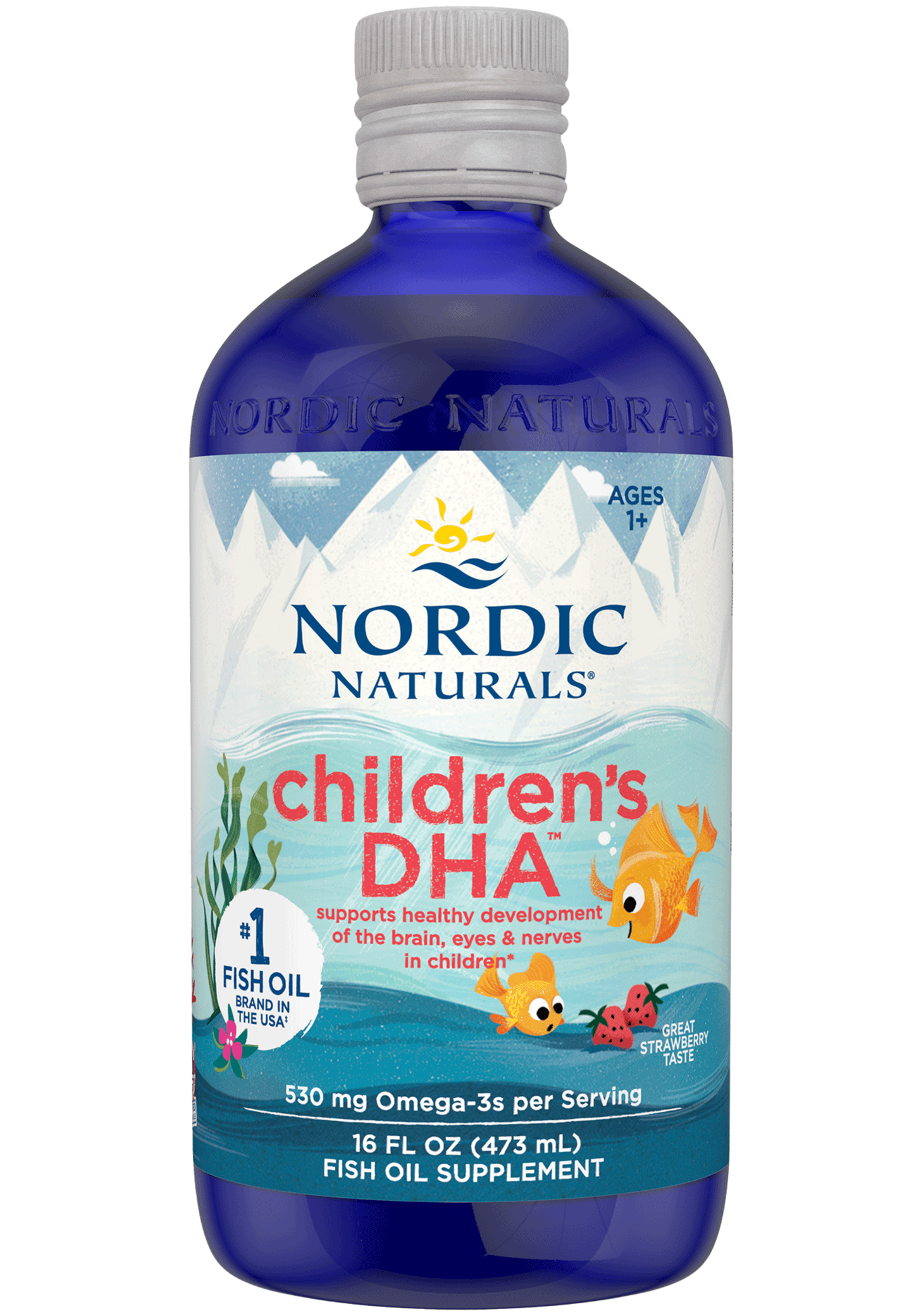 Nordic Naturals Children's DHA Liquid (Nordic Naturals DHA Junior Liquid)