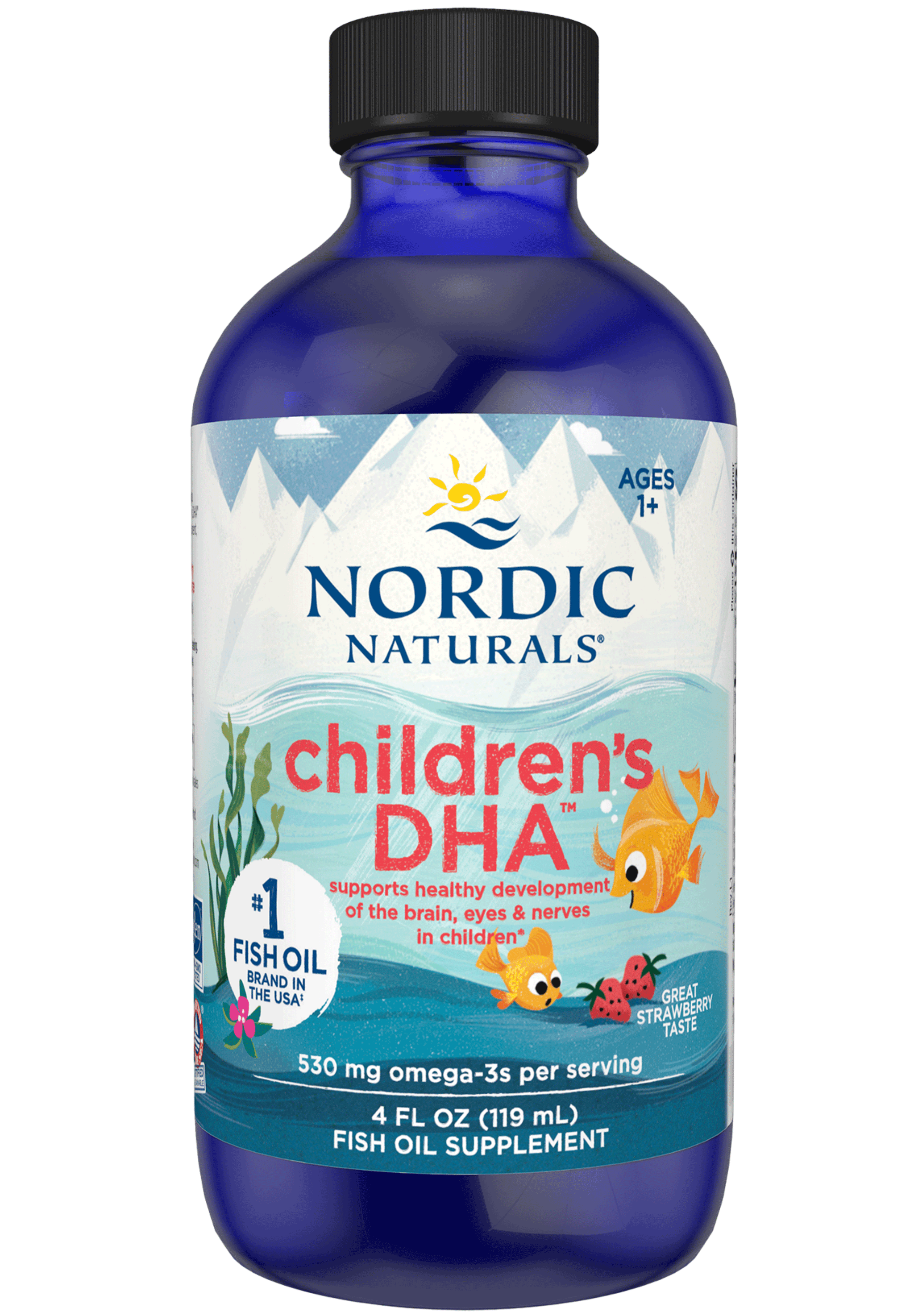 Nordic Naturals Children's DHA Liquid (Nordic Naturals DHA Junior Liquid)
