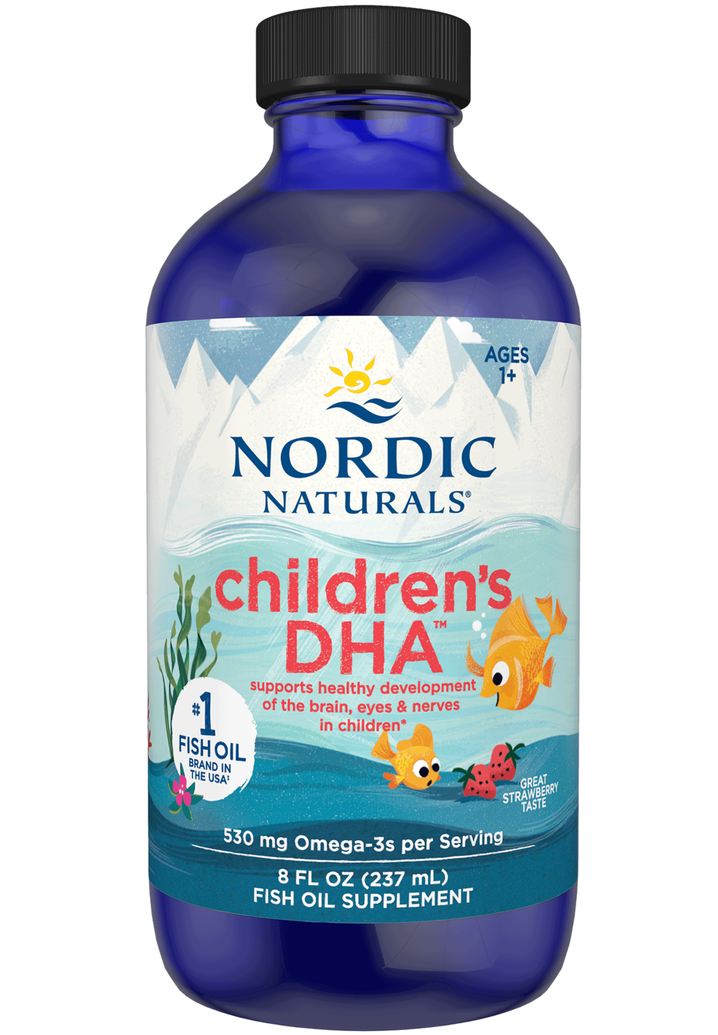 Nordic Naturals Children's DHA Liquid (Nordic Naturals DHA Junior Liquid)