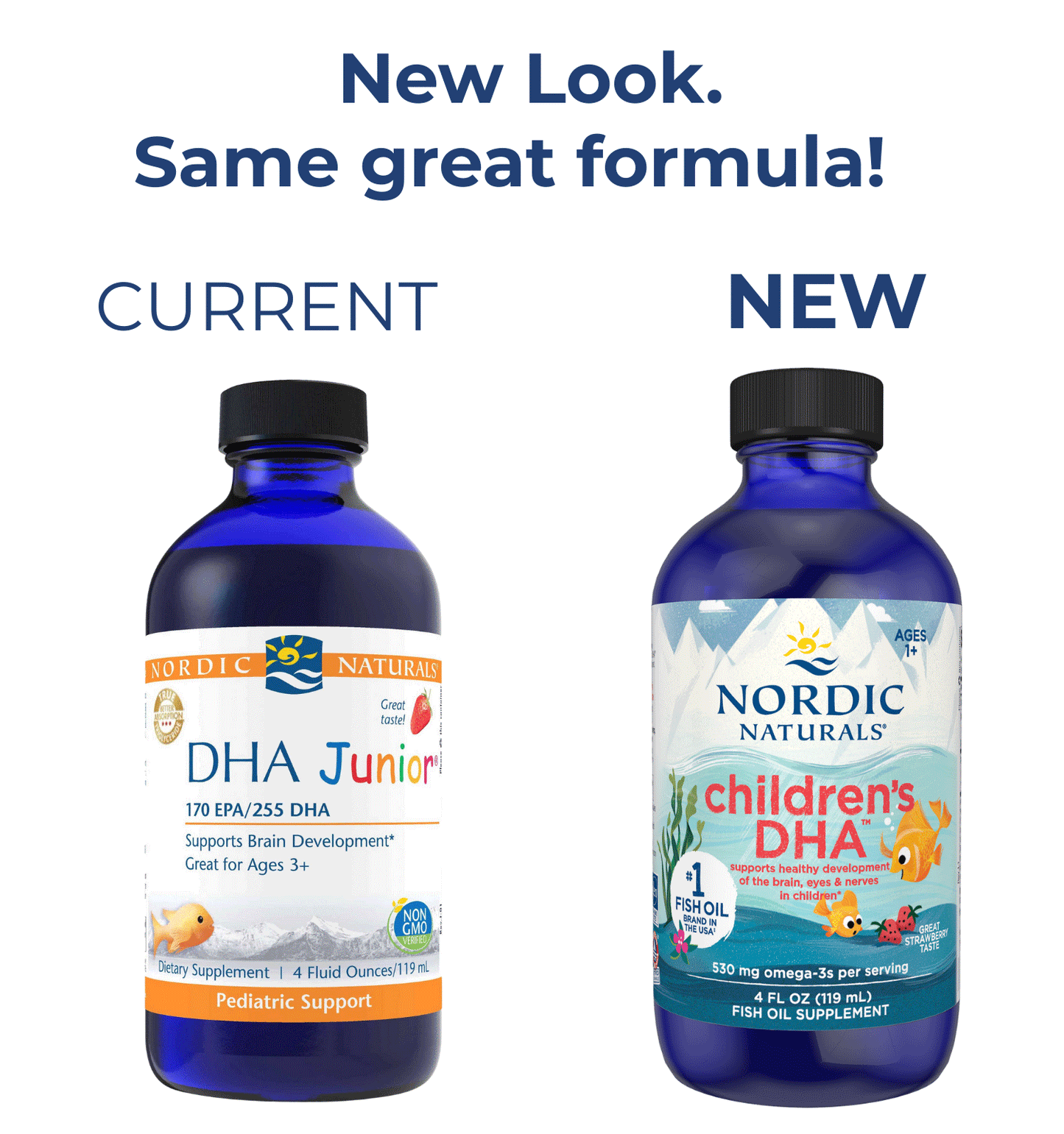Nordic Naturals Children's DHA Liquid (Nordic Naturals DHA Junior Liquid)