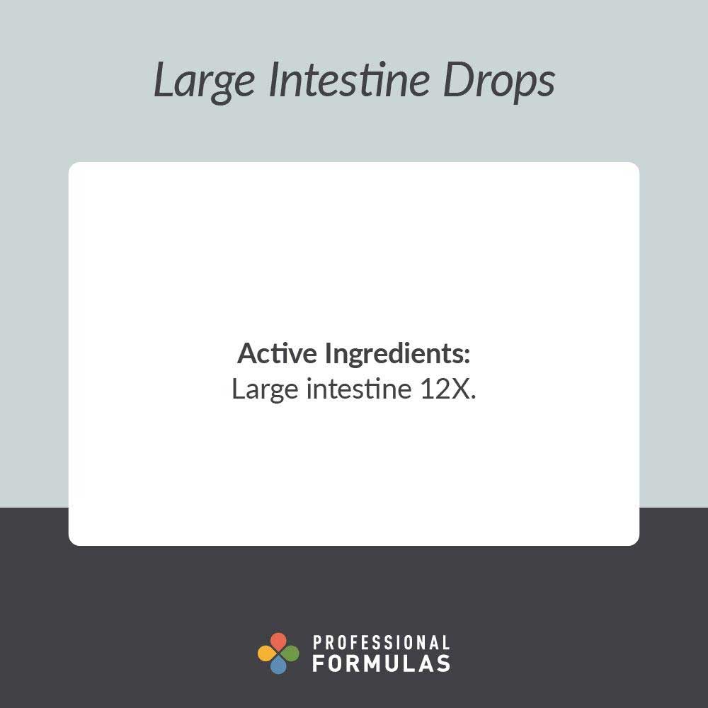 Professional Formulas Large Intestine Drops