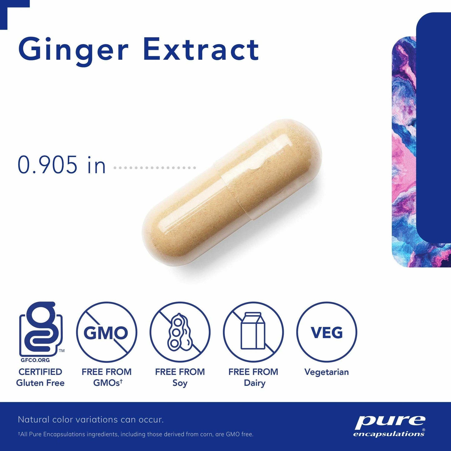 Pure Encapsulations Ginger Extract