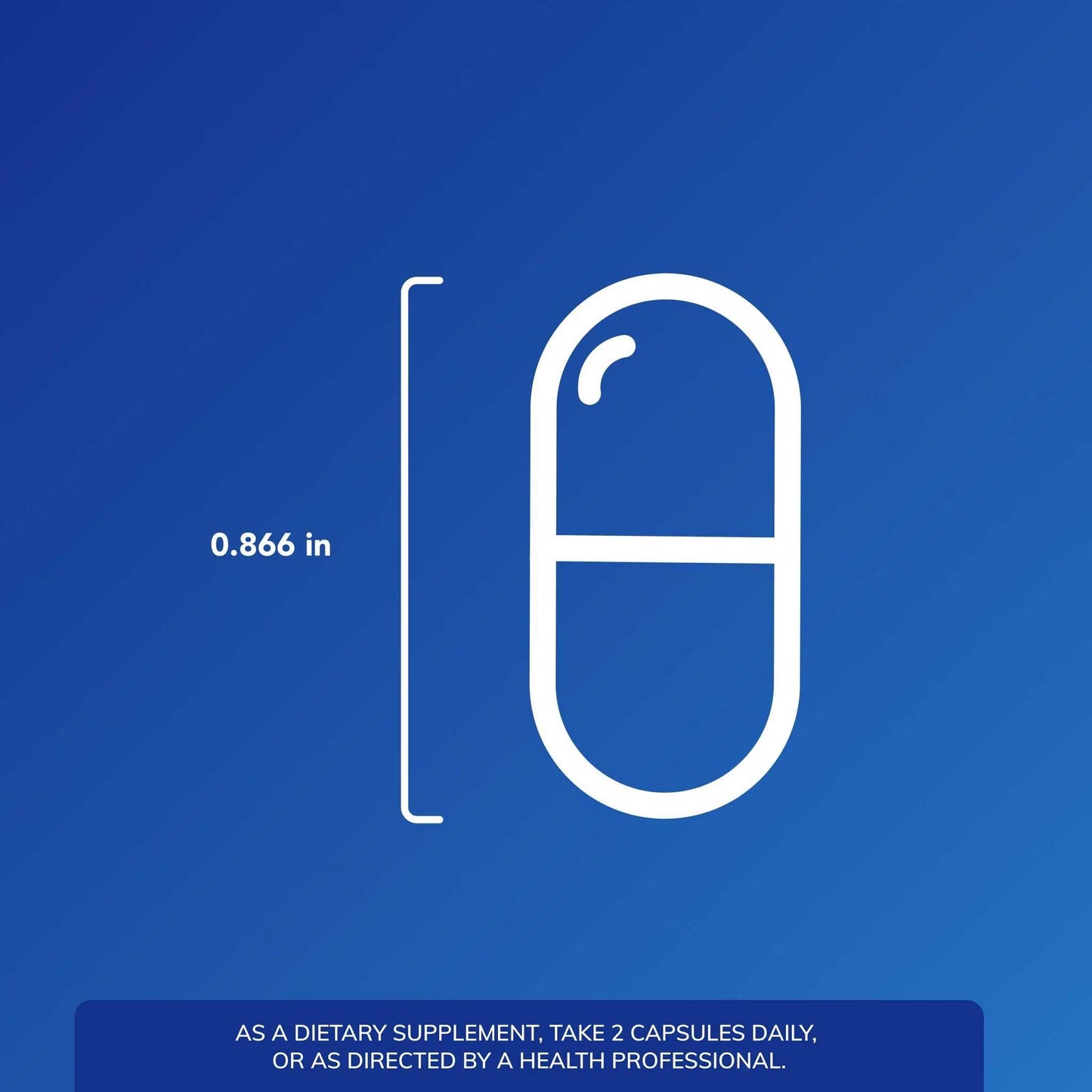 Pure Encapsulations Muscle Repair+