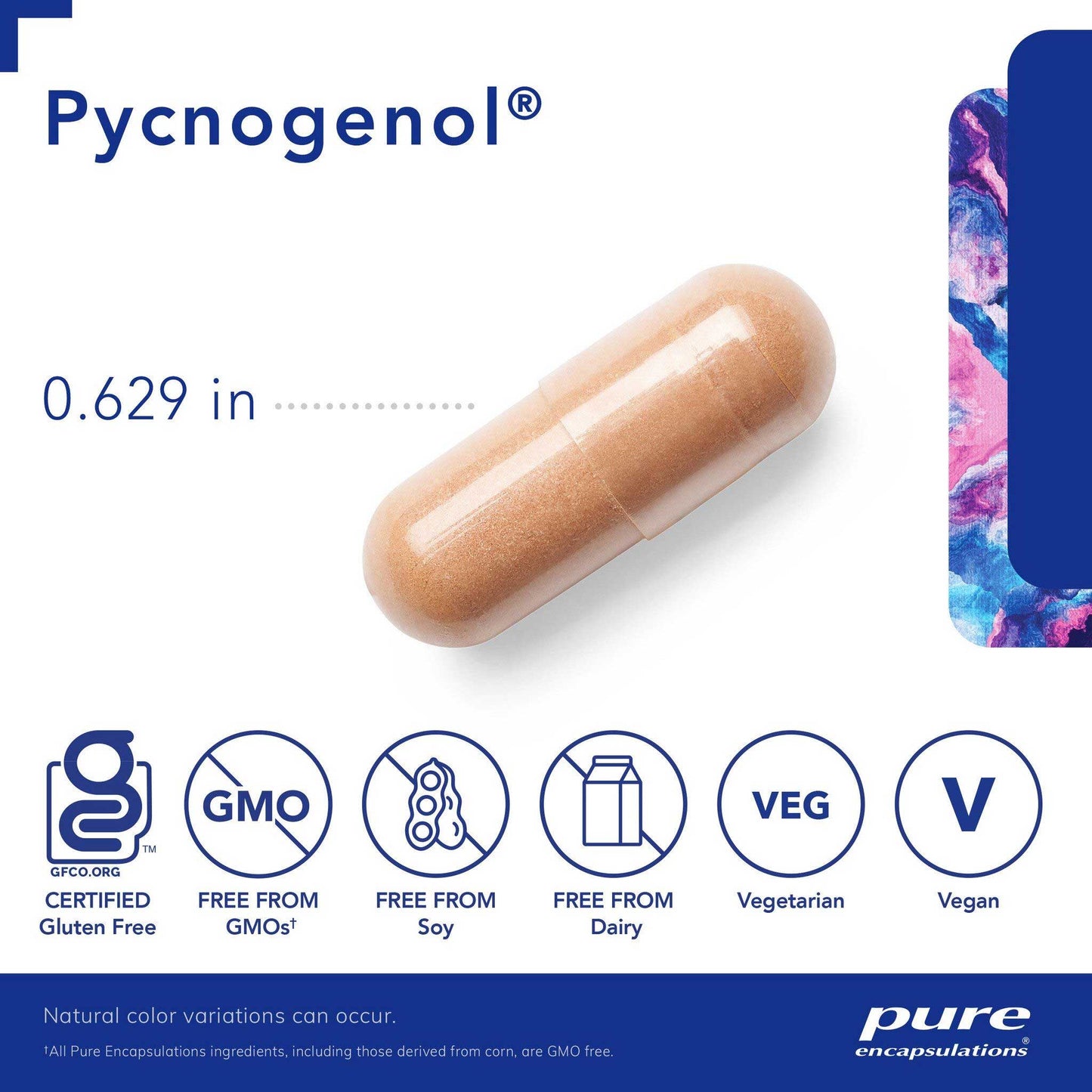 Pure Encapsulations Pycnogenol 100mg