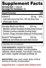 Redd Remedies Immune Everyday