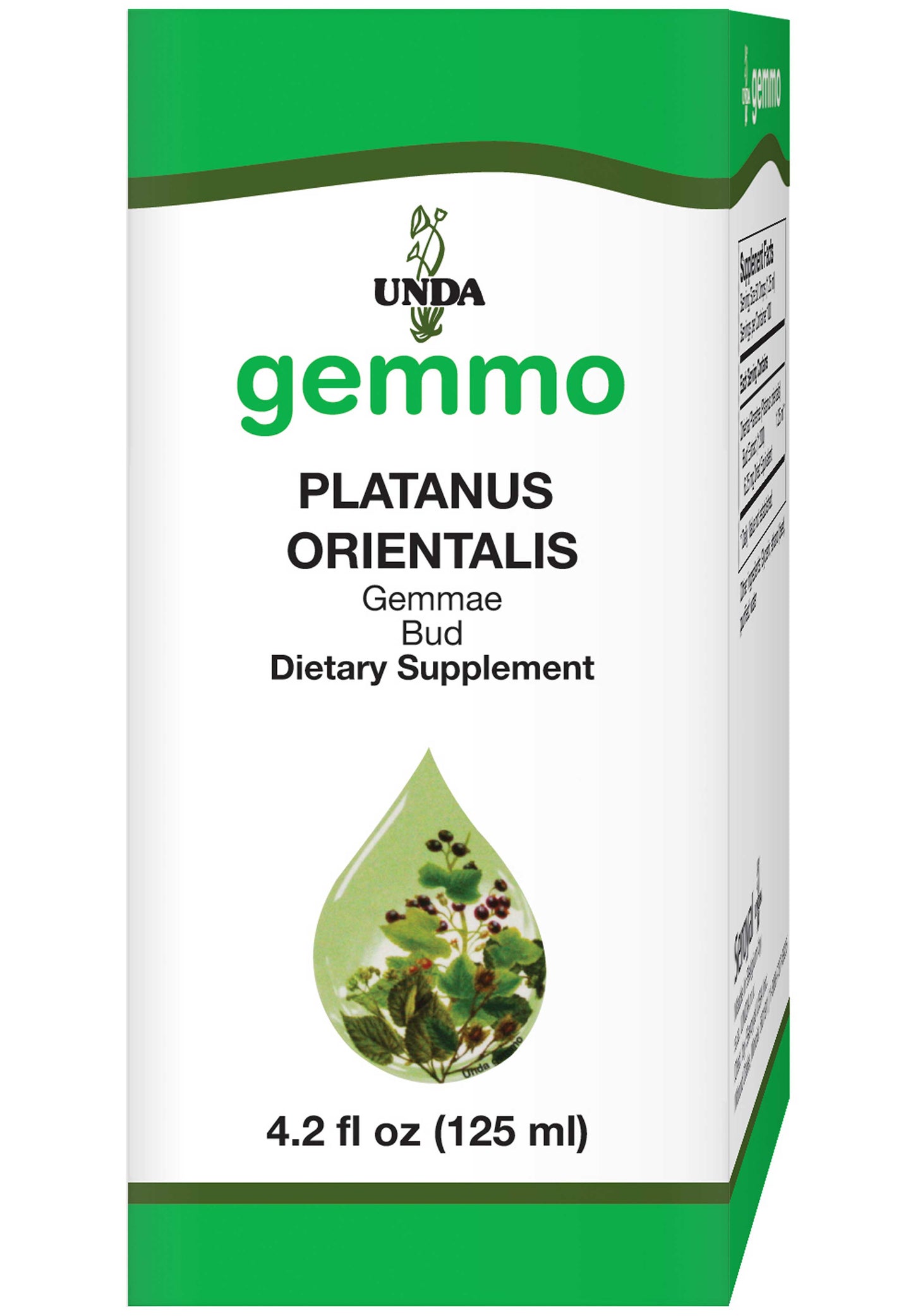 UNDA Platanus Orientalis