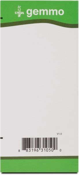 UNDA Platanus Orientalis