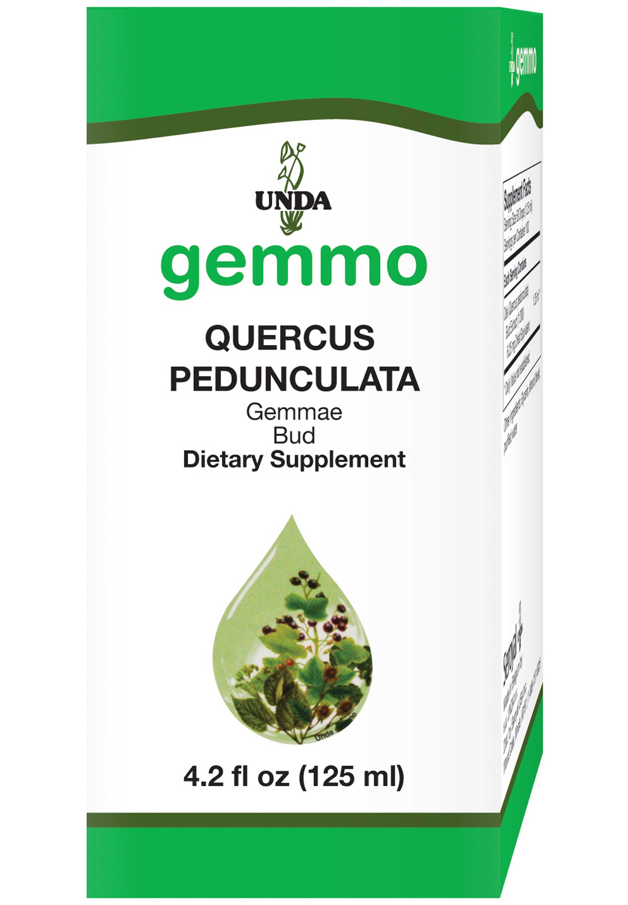 UNDA Quercus Pedunculata