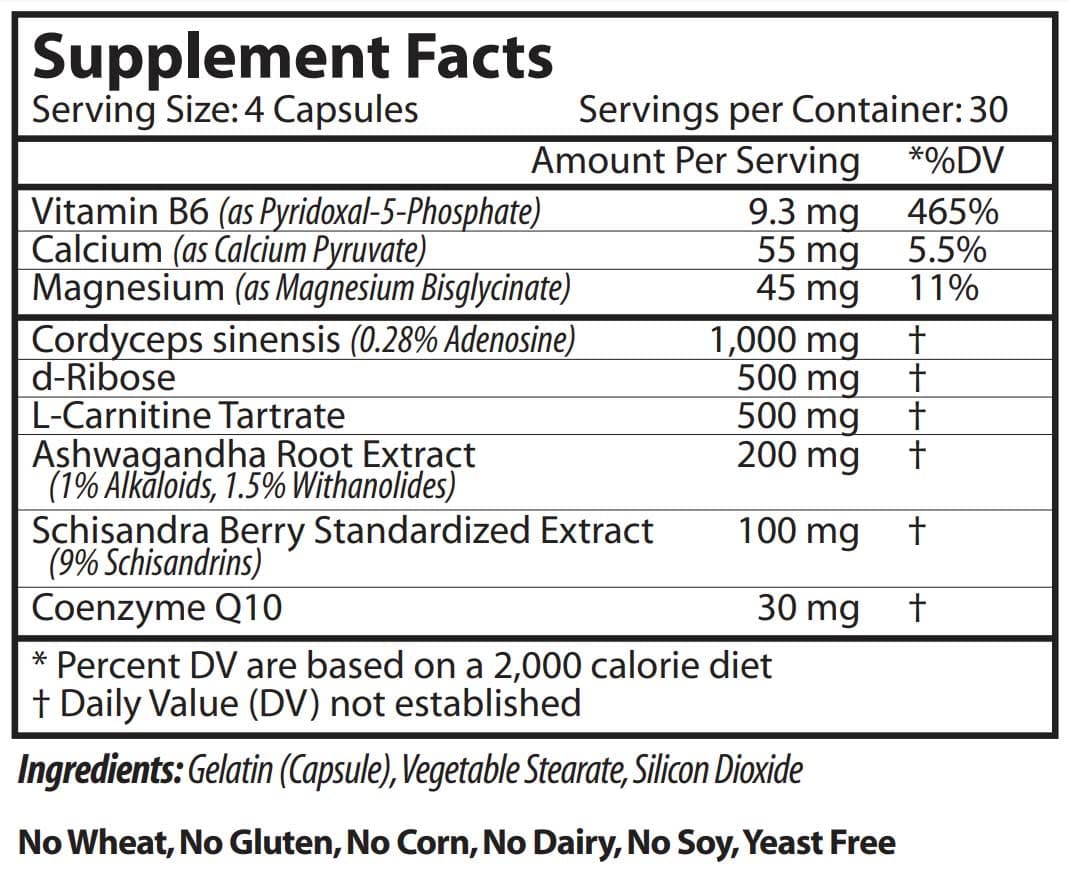 Vinco Energy Ignitor with Cordyceps