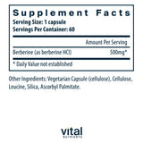 Vital Nutrients Berberine 500mg