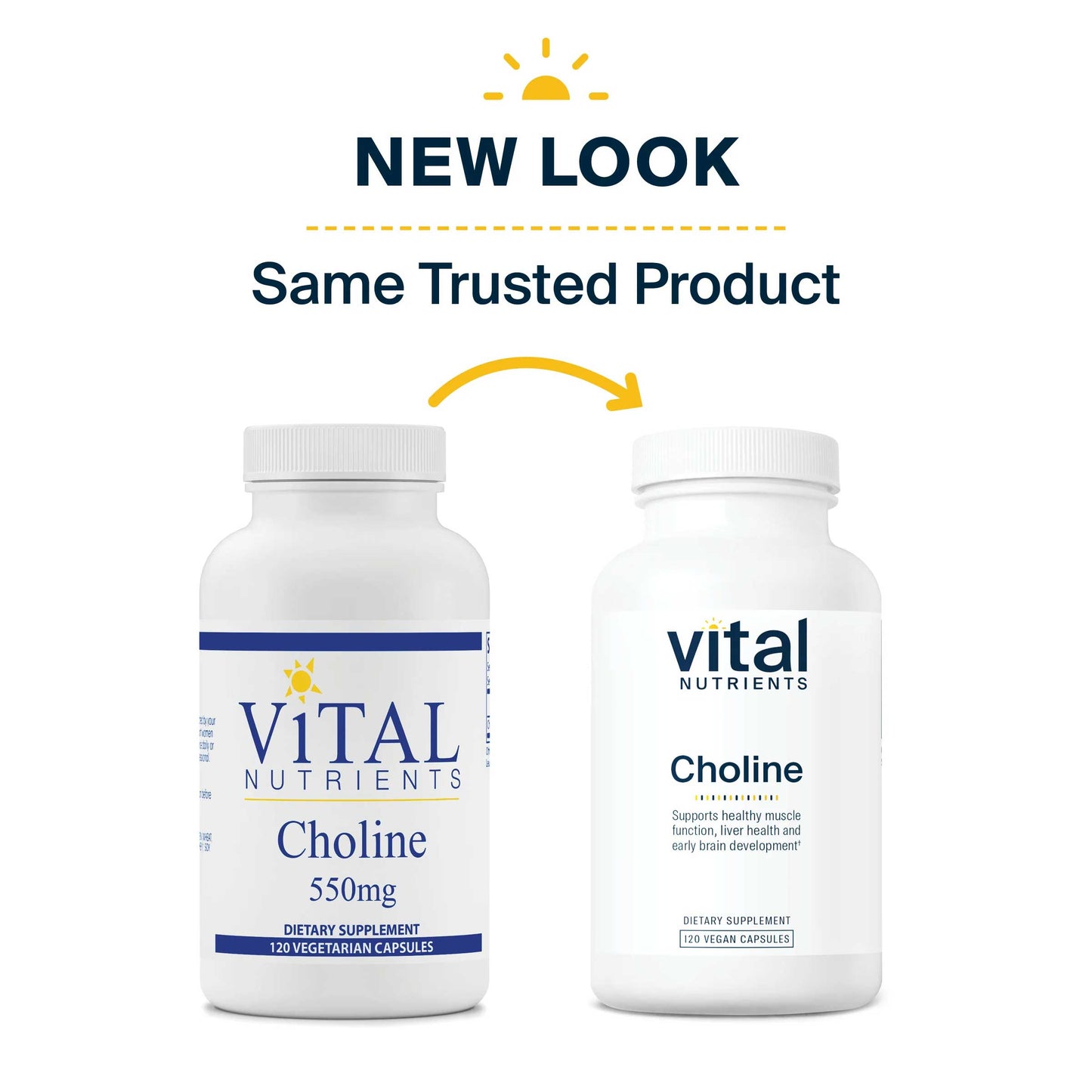 Vital Nutrients Choline 550mg