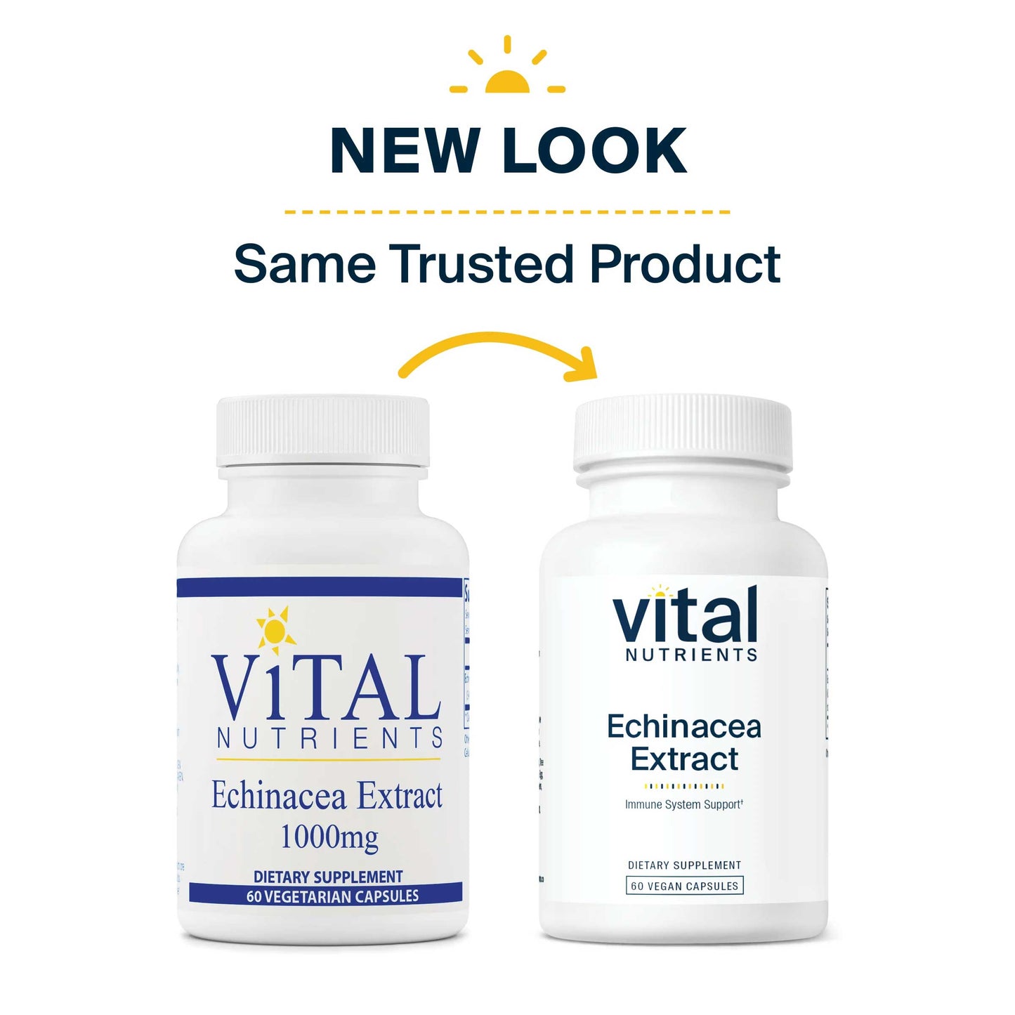 Vital Nutrients Echinacea Extract 1000mg
