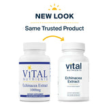 Vital Nutrients Echinacea Extract 1000mg