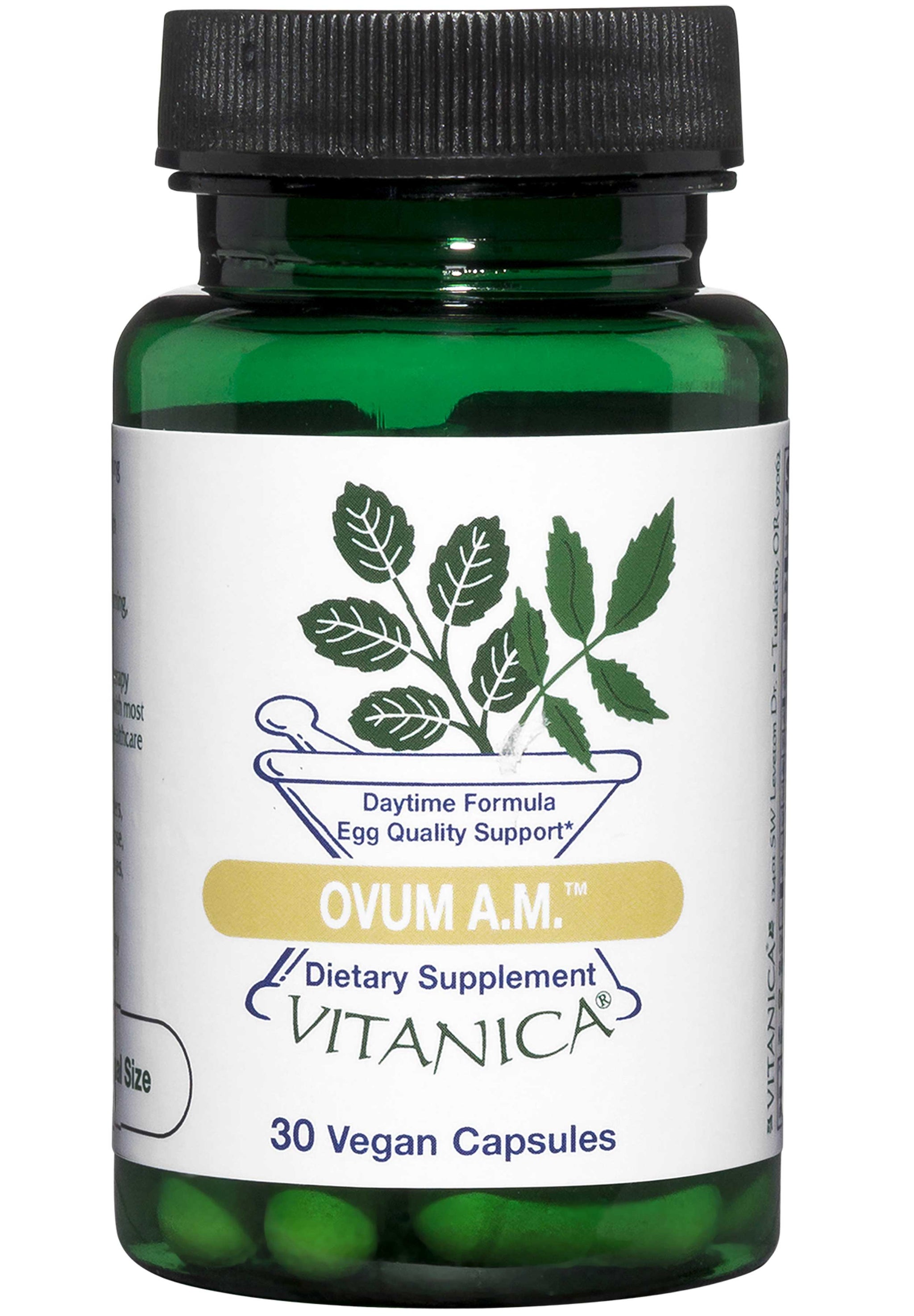 Vitanica Ovum AM