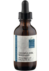 Wise Woman Herbals Lycopus Virginicus Bugleweed