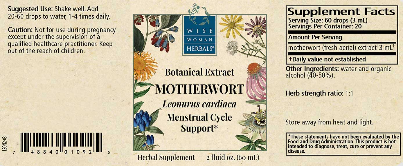 Wise Woman Herbals Motherwort Leonurus Cardiaca