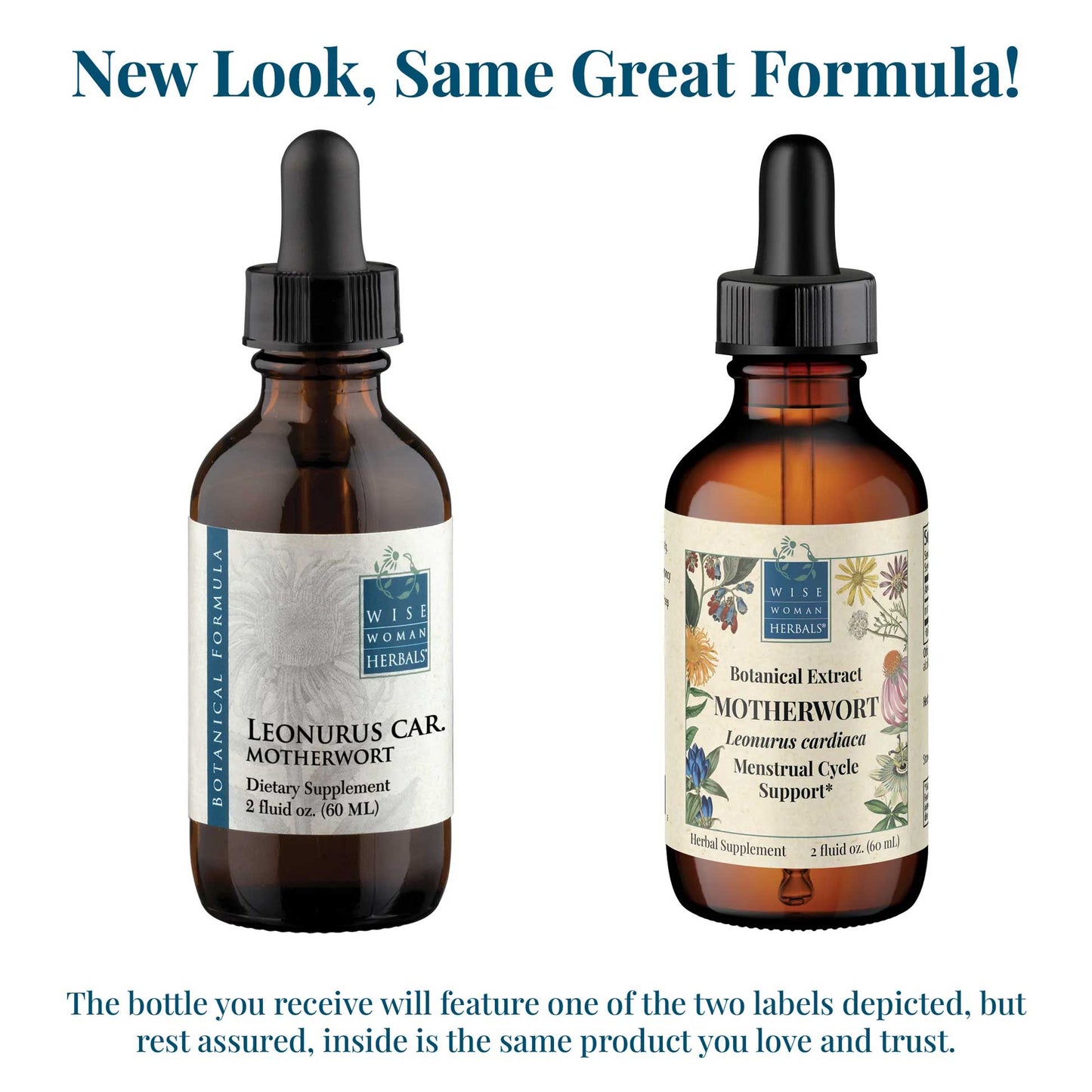 Wise Woman Herbals Motherwort Leonurus Cardiaca